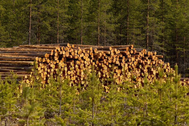 Sustainable_4